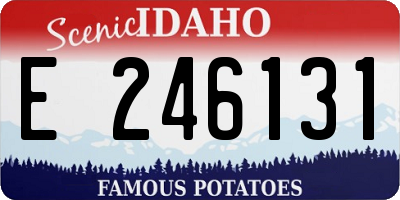 ID license plate E246131