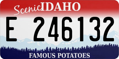 ID license plate E246132