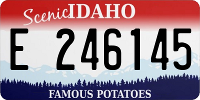 ID license plate E246145