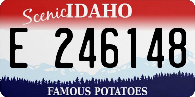 ID license plate E246148
