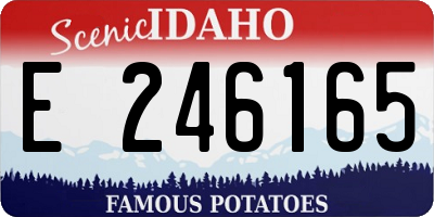 ID license plate E246165