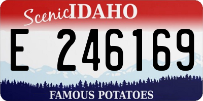 ID license plate E246169
