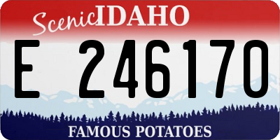 ID license plate E246170
