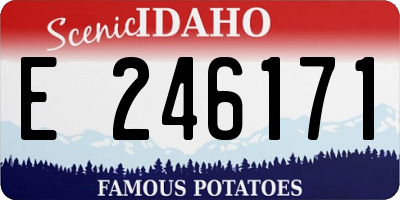 ID license plate E246171