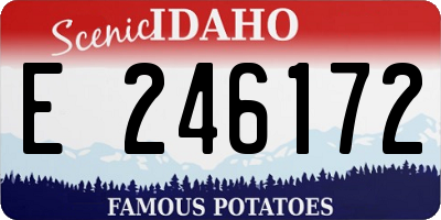 ID license plate E246172