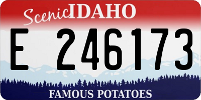 ID license plate E246173