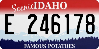 ID license plate E246178
