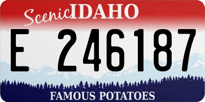 ID license plate E246187