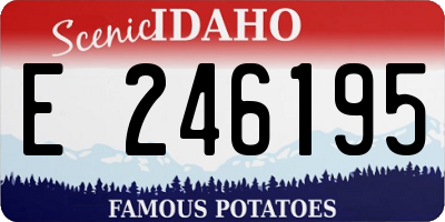 ID license plate E246195