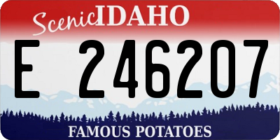 ID license plate E246207