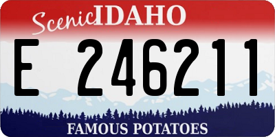 ID license plate E246211