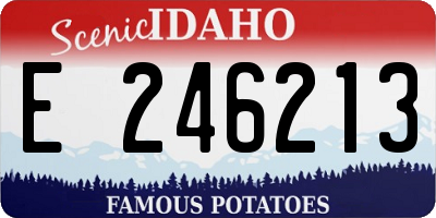 ID license plate E246213