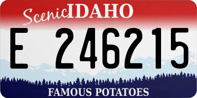 ID license plate E246215