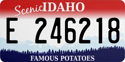 ID license plate E246218
