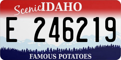 ID license plate E246219
