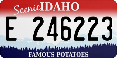 ID license plate E246223