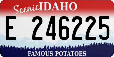 ID license plate E246225