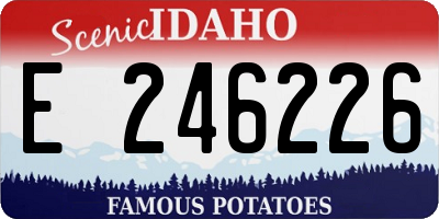 ID license plate E246226