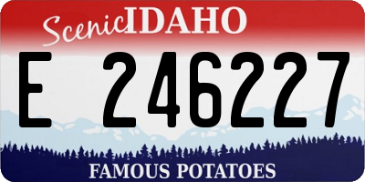 ID license plate E246227