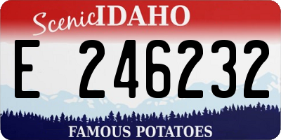 ID license plate E246232