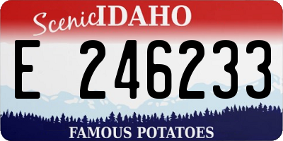 ID license plate E246233