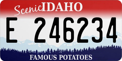 ID license plate E246234