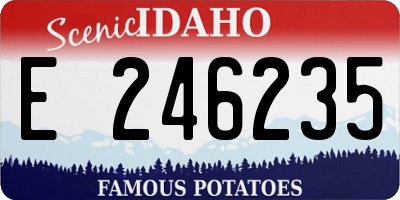 ID license plate E246235