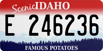 ID license plate E246236