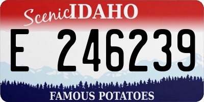ID license plate E246239