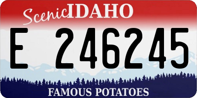 ID license plate E246245
