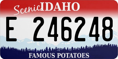 ID license plate E246248