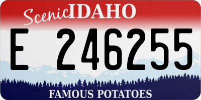 ID license plate E246255