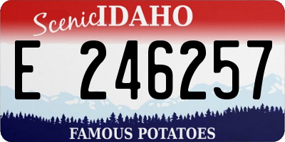 ID license plate E246257
