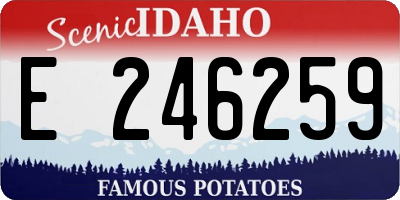 ID license plate E246259