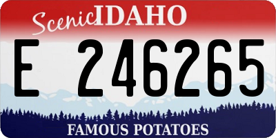 ID license plate E246265