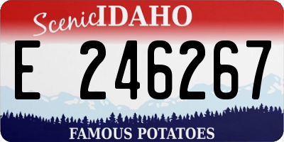 ID license plate E246267