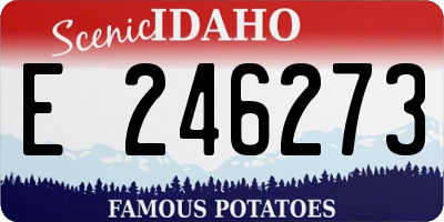 ID license plate E246273