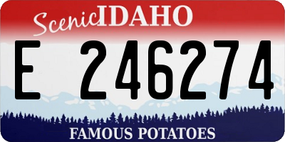 ID license plate E246274