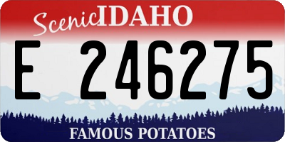 ID license plate E246275