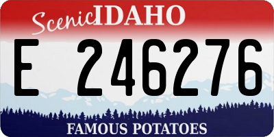 ID license plate E246276