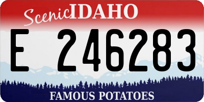 ID license plate E246283