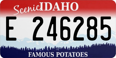 ID license plate E246285