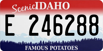 ID license plate E246288