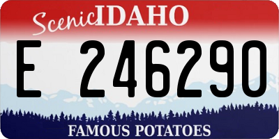 ID license plate E246290