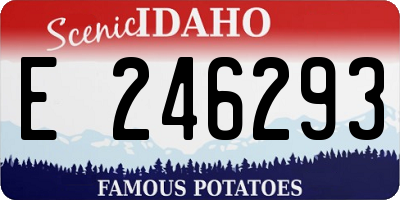 ID license plate E246293