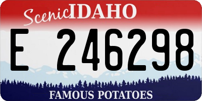 ID license plate E246298