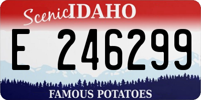 ID license plate E246299