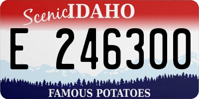 ID license plate E246300