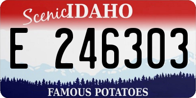 ID license plate E246303