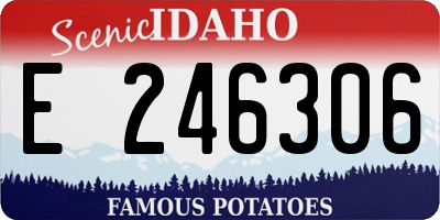 ID license plate E246306